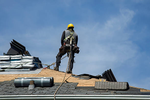 Professional Roof Installation technician working in Sidney, IL